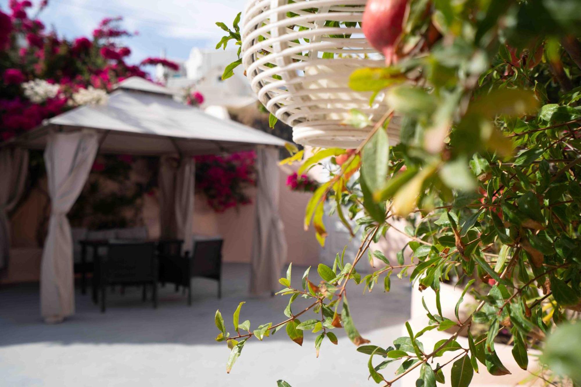 Bird Nest-Santorini Cave Houses Fira  Exterior foto