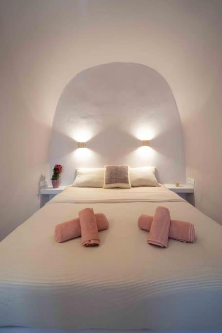 Bird Nest-Santorini Cave Houses Fira  Exterior foto
