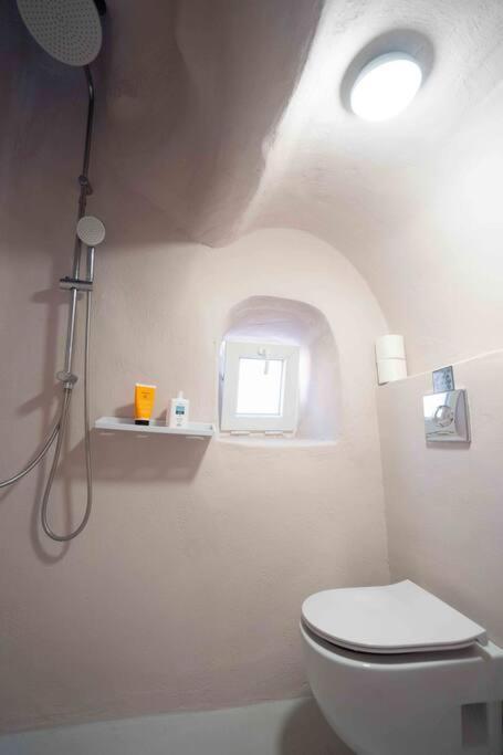 Bird Nest-Santorini Cave Houses Fira  Exterior foto